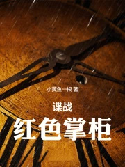 谍战：红色掌柜