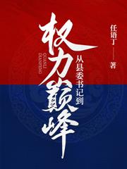 巅峰政途